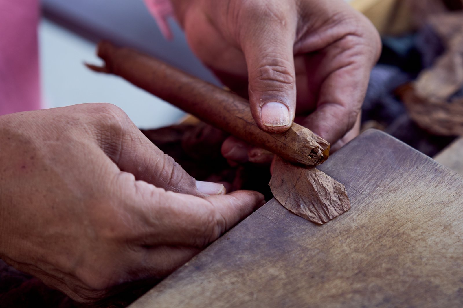 708 Cigar Rolling With Master Bomba at Willow Grove